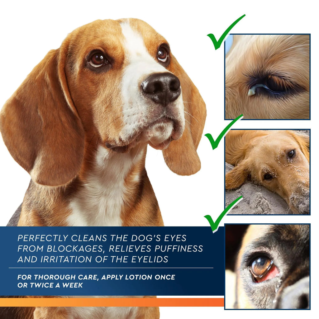 All Pets Eye Wash Drops for Relief